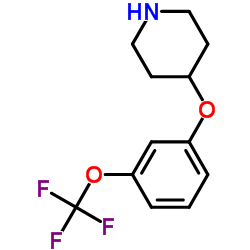 4-[3-(三氟甲氧基)苯氧基]哌啶结构式