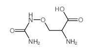 2-amino-3-(carbamoylamino)oxy-propanoic acid structure