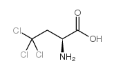 l-2-amino-4,4,4-trichlorobutanoic acid Structure