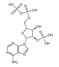 adenosine 2'-phosphate 5-phosphosulfate, lithium salt Structure