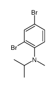 2,4-dibromo-N-methyl-N-propan-2-ylaniline Structure