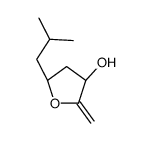 3-Furanol,tetrahydro-2-methylene-5-(2-methylpropyl)-, (3R,5R)-rel- (9CI) Structure