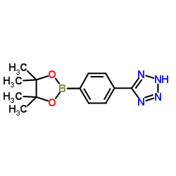 4-(2H-Tetrazol-5-yl)benzeneboronic acid pinacol ester Structure