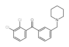 2,3-DICHLORO-3'-PIPERIDINOMETHYL BENZOPHENONE picture