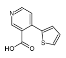 4-thiophen-2-ylpyridine-3-carboxylic acid Structure