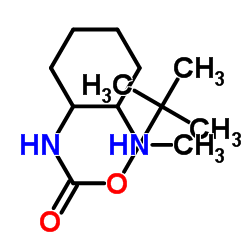 (2-Methylamino-cyclohexyl)-carbamic acid tert-butyl ester structure