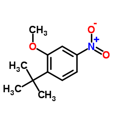 2-Methoxy-1-(2-methyl-2-propanyl)-4-nitrobenzene Structure