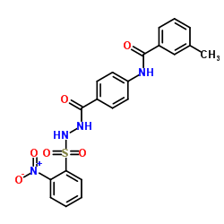 3-Methyl-N-[4-({2-[(2-nitrophenyl)sulfonyl]hydrazino}carbonyl)phenyl]benzamide结构式