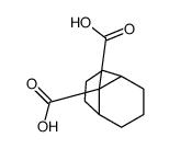 bicyclo[3.3.1]nonane-9,9-dicarboxylic acid Structure