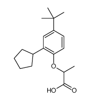 2-[2-cyclopentyl-4-(1,1-dimethylethyl)phenoxy]propionic acid结构式