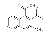 2-甲基喹啉-3,4-二羧酸结构式