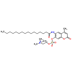 4-Methyl-2-oxo-6-(palmitoylamino)-2H-chromen-7-yl 2-(trimethylammonio)ethyl phosphate Structure
