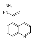 QUINOLINE-5-CARBOXYLIC ACID HYDRAZIDE Structure