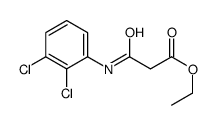 ethyl 3-(2,3-dichloroanilino)-3-oxopropanoate结构式