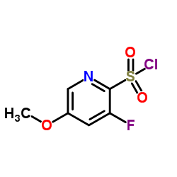 3-fluoro-5-Methoxypyridine-2-sulfonyl chloride结构式