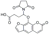 SPB Structure