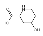 4-羟基-2-哌啶甲酸结构式