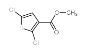 2,5-二氯噻吩-3-羧酸甲酯结构式