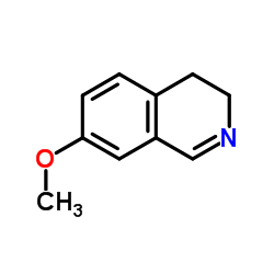 7-Methoxy-3,4-dihydroisoquinoline Structure