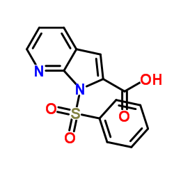 1-Benzenesulfonyl-1H-pyrrolo[2,3-b]pyridine-2-carboxylic acid structure