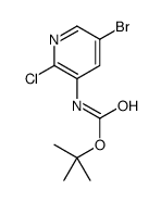 TERT-BUTYL (5-BROMO-2-CHLOROPYRIDIN-3-YL)CARBAMATE Structure