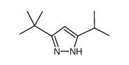 1H-Pyrazole,3-(1,1-dimethylethyl)-5-(1-methylethyl)-(9CI) Structure