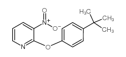 2-[4-(TERT-BUTYL)PHENOXY]-3-NITROPYRIDINE picture