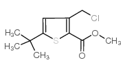 METHYL 5-(TERT-BUTYL)-3-(CHLOROMETHYL)THIOPHENE-2-CARBOXYLATE Structure