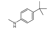 (4-tert-Butyl-phenyl)-Methyl-amine结构式