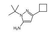 1-(叔丁基)-3-环丁基-1H-吡唑-5-胺结构式