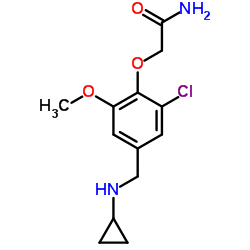 2-(2-CHLORO-4-((CYCLOPROPYLAMINO)METHYL)-6-METHOXYPHENOXY)ACETAMIDE Structure