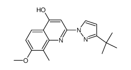 4-hydroxy-2-(3-tert-butylpyrazol-1-yl)-7-methoxy-8-methylquinoline结构式