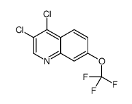 3,4-Dichloro-7-trifluoromethoxyquinoline structure