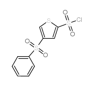 4-(benzenesulfonyl)thiophene-2-sulfonyl chloride Structure