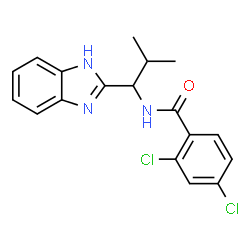 N-[1-(1H-1,3-BENZIMIDAZOL-2-YL)-2-METHYLPROPYL]-2,4-DICHLOROBENZENECARBOXAMIDE结构式