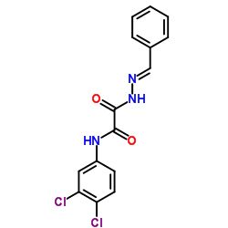 2-[(2E)-2-Benzylidenehydrazino]-N-(3,4-dichlorophenyl)-2-oxoacetamide结构式