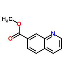Methyl quinoline-7-carboxylate structure