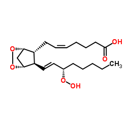 前列腺素 G2图片