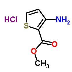 Methyl 3-amino-2-thiophenecarboxylate hydrochloride (1:1) Structure