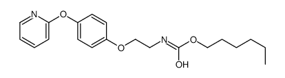 hexyl N-[2-(4-pyridin-2-yloxyphenoxy)ethyl]carbamate结构式