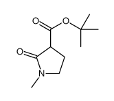 tert-butyl 1-methyl-2-oxopyrrolidine-3-carboxylate Structure