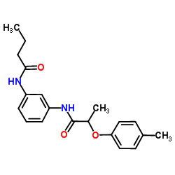 N-(3-{[2-(4-Methylphenoxy)propanoyl]amino}phenyl)butanamide结构式