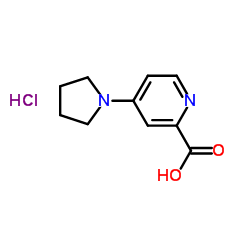 4-PYRROLIDIN-1-YLPYRIDINE-2-CARBOXYLIC ACID HYDROCHLORIDE Structure
