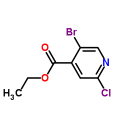 5-溴-2-氯异烟酸乙酯图片