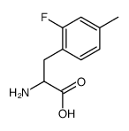 2-FLUORO-4-METHYL-DL-PHENYLALANINE structure