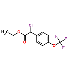 Ethyl chloro[4-(trifluoromethoxy)phenyl]acetate结构式