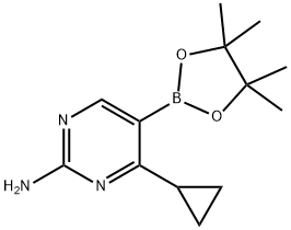 2-Amino-4-(cyclopropyl)pyrimidine-5-boronic acid pinacol ester图片