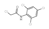 2,2',4',6'-四氯乙酰乙酰胺图片