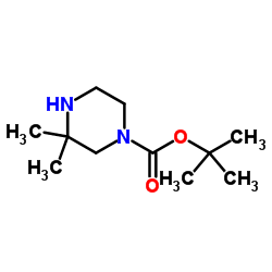 3,3-二甲基哌嗪-1-甲酸叔丁酯结构式