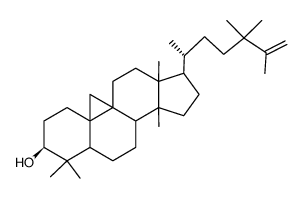24,24-Dimethyl-9β,19-cyclo-5α-lanost-25-en-3β-ol picture